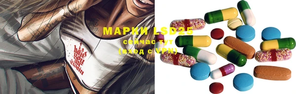 прущие грибы Осинники