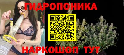 крисы Беслан