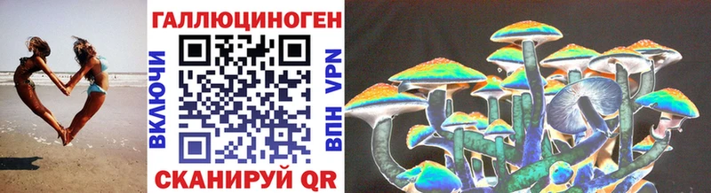 Галлюциногенные грибы Psilocybe  купить закладку  kraken сайт  Волгоград 