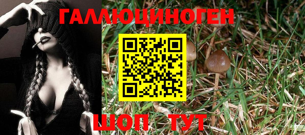 Галлюциногенные грибы мицелий Волгоград